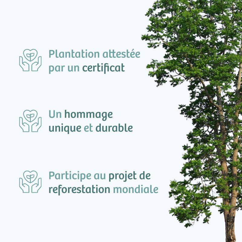 Planter un arbre en hommage à Herr Pierre Leonard